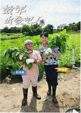 来吧营业中在线观看综艺